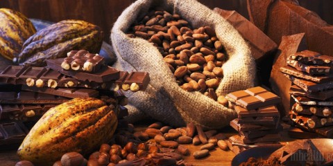 Доказано: ешь какао-бобы, чтобы улучшить память
