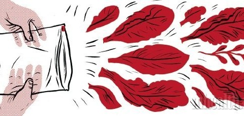 Как правильно хранить салатные листья | Men's Health Россия