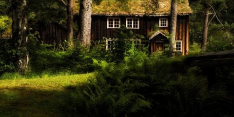 Дом в норвежском лесу