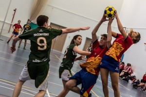 446665387af0277bf293ced2afeea2fd