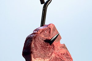 dbfff83522b583183b9be67447430bf8