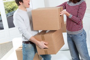 ec493267c1c15d5ad498c3907007af00