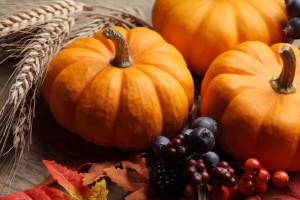 387db62b3ebe29b86901f2ce941129df