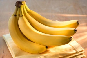 e30e2e182ff064de49f19a8c9a236c1b