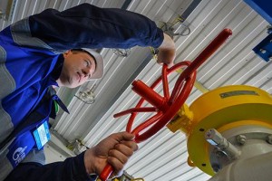 6fa2ae9b6a9797db84a47e80ab1cb4be