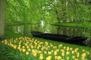 7b9188a5fe038ae0207e0bf6efdb82b8