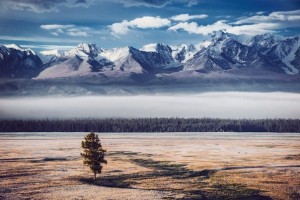 f4141da2a2e0ad7f5b4142bc697b5521