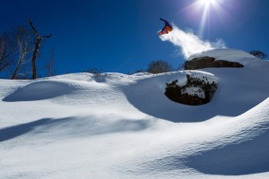 81f1f34272f01b85cbd580548abe68ac