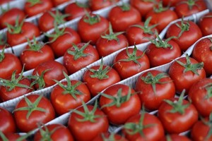 b25f0d804a4505b3c80eb09d89950617