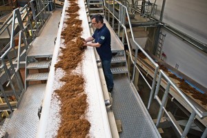 f97b29a2adf5fac6b9295ca2f6e85c81