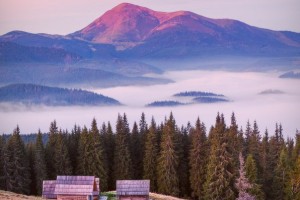 1fff8172dd248d9a93627533ff50ca78