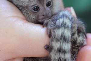 241d9d983c924408b8b4bd7c40a550b6