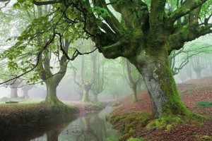 281402af4391df1711d3d9d69192a51c