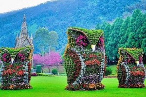 2a129b3a6f873b6651fca9f0e4368548