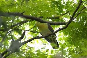 45d121fbfd2fb4049f8e922cf7e1095f