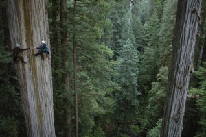 5356e727975eb647a1b54c118ea3a8a5