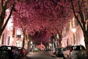 64b777568c064135e05512e2170561b9