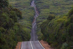 7c80fb0f73b1c1a0d3f26f82bdcd142f