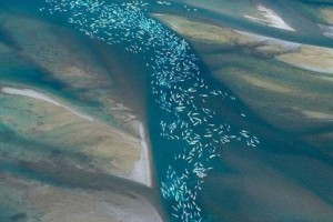 909f679cec86b0641fec55248bd6c177