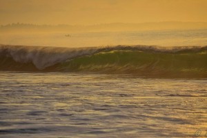 944fd35468a1b521a60b358ce1ad21da