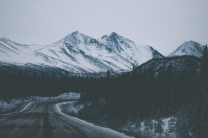 94c9d2aa6d56a1f1167a956b1b393fbd