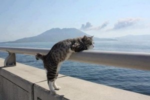 a492ff2d09feefaf0e4d5d89d09ccdaf