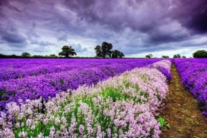 d0b2c2ab368a7553fa9e74da163f2a36