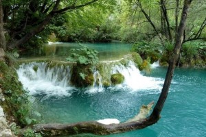 16f61aeba786df1cf085a66c5d563d91