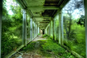 251b4956dbb6567b0fe90d0d38cf23bd