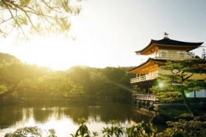 397ceefba76ee4fae33cccd991772695