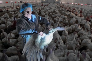 491e9aba91d5c108cd2a8601705c9066