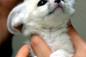 5232d76455d9c4c1331f90b8a54ffb8b