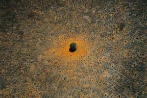 66f7b080c45bf752a51172cb3b3363c9