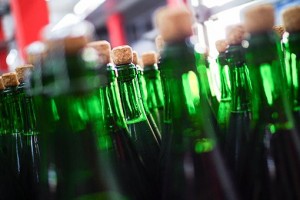 675ffe870b14c3ad9afda08484b03dc6