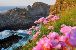 8e2166dd8646f580f2a0c2ac2708c312