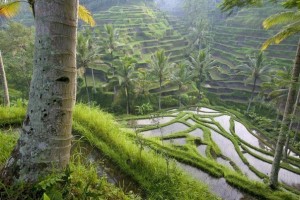 96a1bddf725be392de842bf02c7aeda2