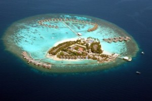 bc89d312a28c8e5a9752072a1b54530c