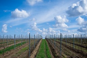 c53e19c27cb8a87b1e589d5e3ebfba63