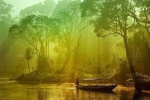 c53ff5c77c914f351c4be67f94ce6b6d