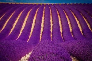 c85afdcd53b93fc3ff5105b577bfbc31