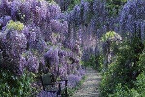 d16e07547b4acfa18054d6077a8a90b3