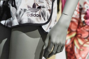 d8960a27b41659728fff87d4979a9e9b