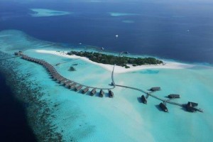 e3f790c23dda812e4881a84cc26b2439