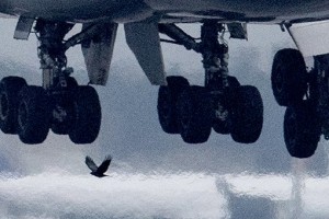 e4da56f4eef0353f1758edf5e4faf1f5