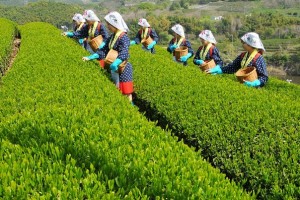 18c0f1a195de84804d952d15ae3988b0