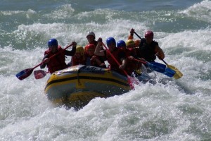 2affa1f2247620f8ef1b3dc5676aa31d