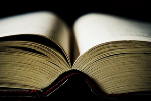 2d8e690ea6fbcefc474e71a5b71a8013