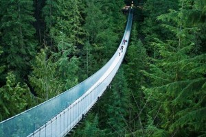 80cbb15e77a99c504a2bb9076d9b98ee