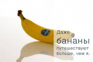 85382001af9a9bfbec96980a8b3f23d5