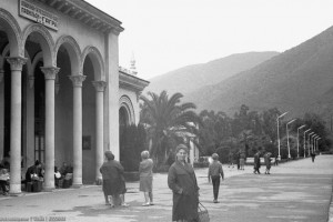 87780d9c5e4808d35ebc341d4419297b